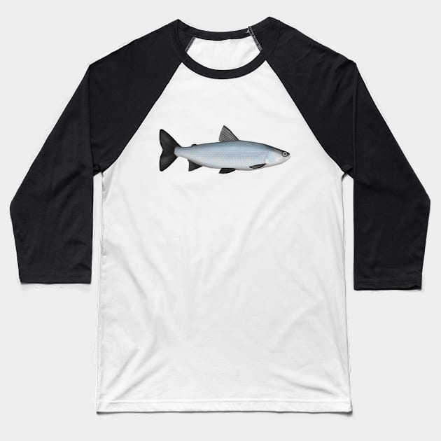 Sardine Cisco Baseball T-Shirt by FishFolkArt